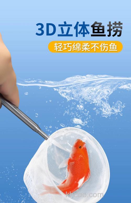 网小鱼用什么诱饵？