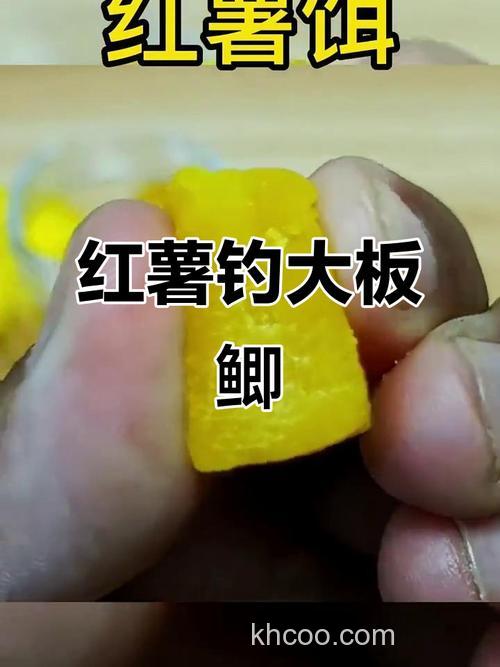 红薯钓青鱼效果好吗？