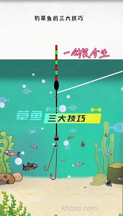 饵料钓草鱼子线长度和钩距？