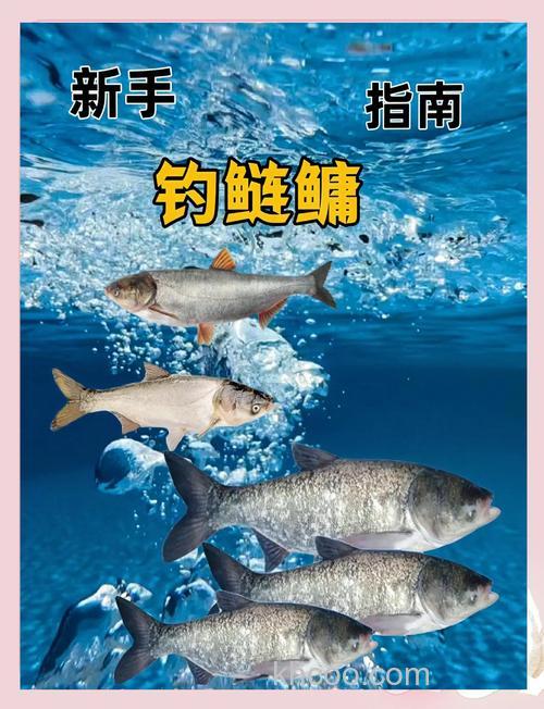 野钓鲢鳙秘诀都在子线上