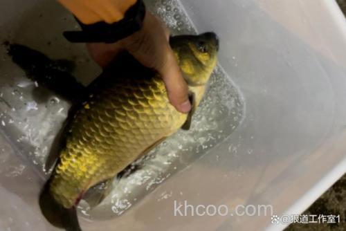 小雪对钓鱼有什么影响吗？