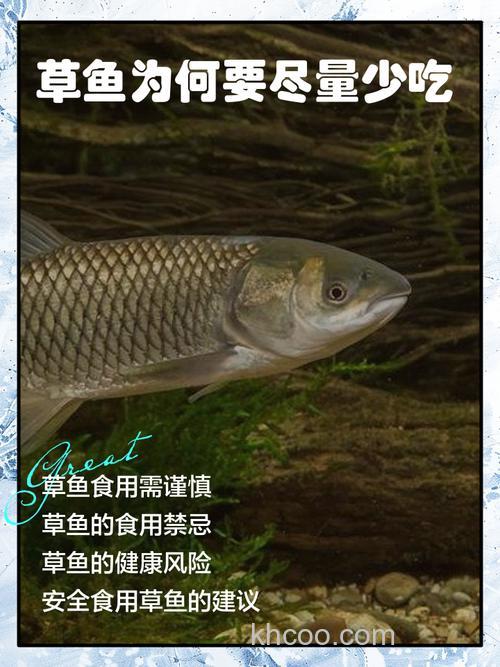 草鱼不吃的水草？