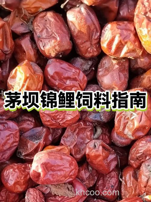 如何自制锦鲤饲料？