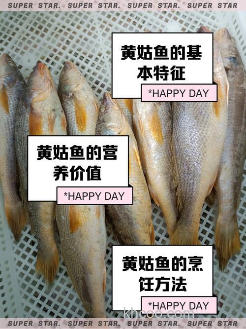 黄姑鱼知识大揭秘：俗称、海鱼身份全知晓