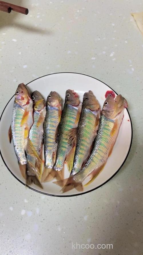 马口鱼是什么鱼？马口鱼怎么做好吃？