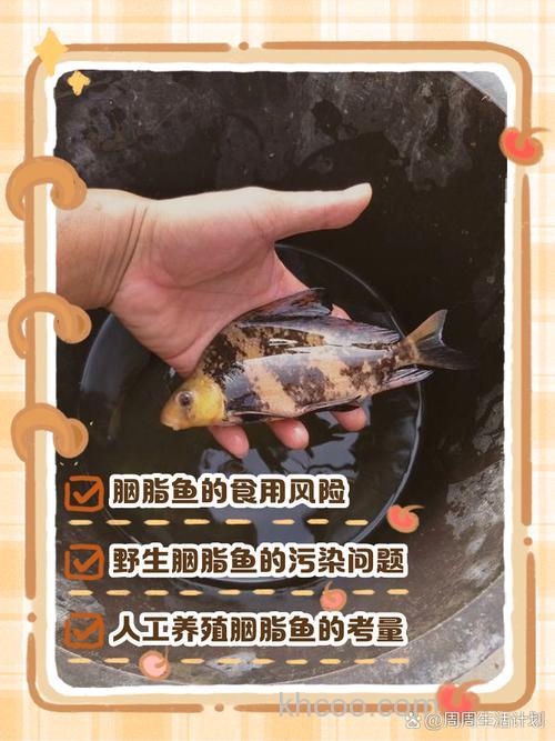 胭脂鱼怎样做好吃又简单？