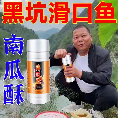 南瓜酥钓鲤鱼配合什么散炮？