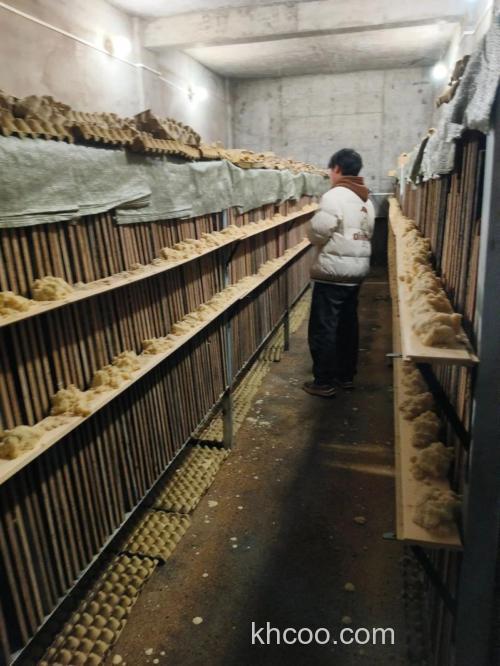 蟑螂养殖技术及场地建造？