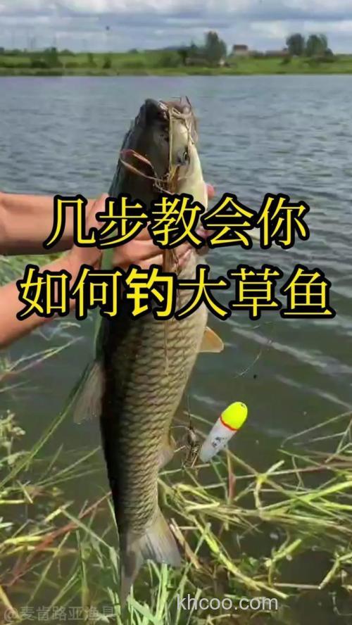千岛湖如何钓草鱼？