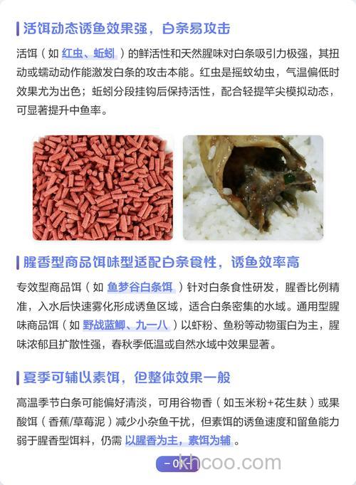 钓白条用什么味的饵料最快最好？