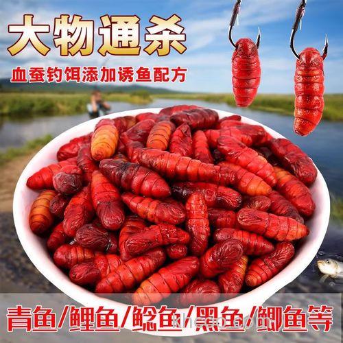 钓鲶鱼的血饵配方？