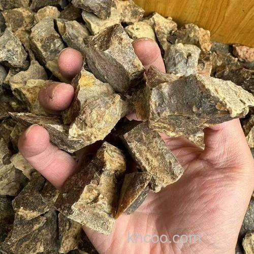 阿魏泡酒如何自制野钓鲫鱼窝科？