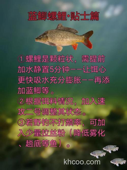 蓝鲫和螺鲤谁厉害？