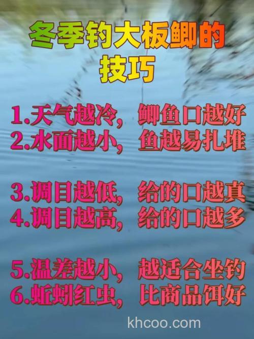 冬季阴天如何作钓大板鲫