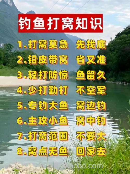 钓鲫鱼打窝如何看窝子是不是有鱼