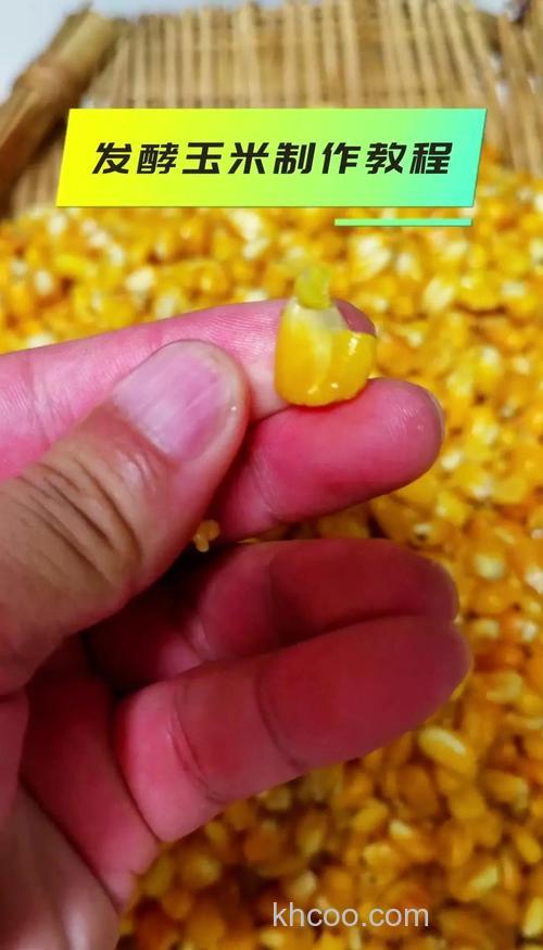 草鱼饲料玉米杆制作方法？