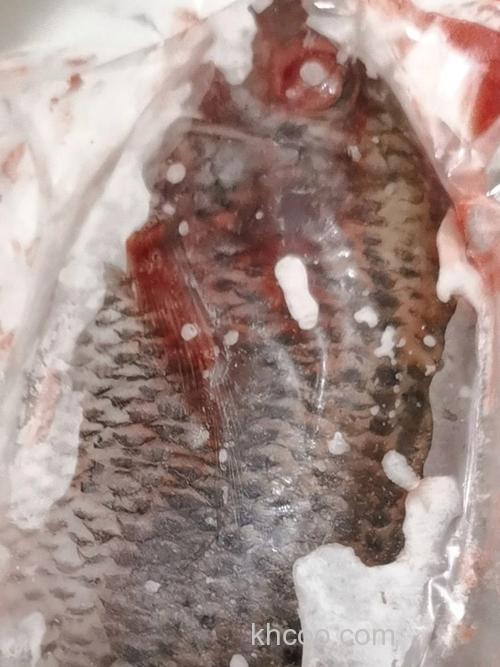 罗非鱼煮熟有寄生虫吗？