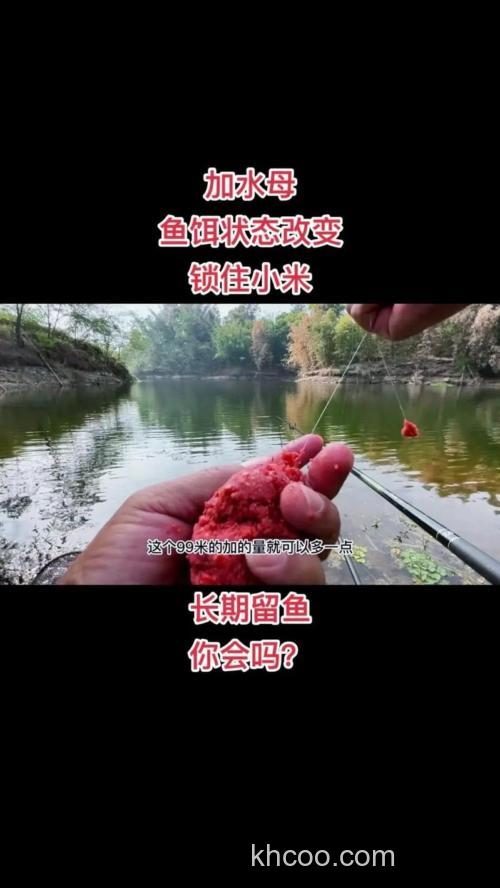 初秋野钓鲫鱼技巧