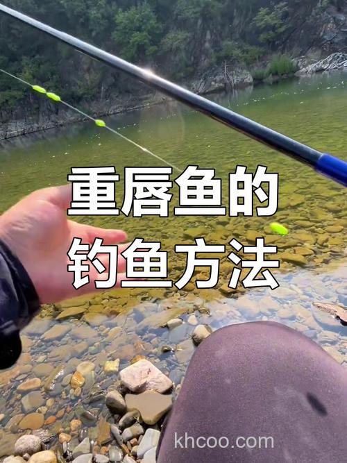 野河钓重唇鱼方法大全