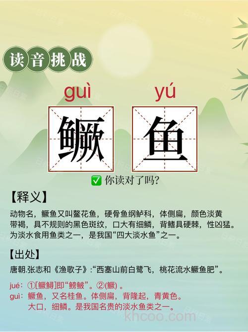 鲑鱼怎么读?鲑鱼的拼音怎么写?