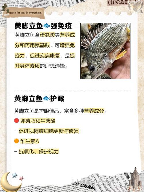 黄脚立鱼价格、营养与功效全解析