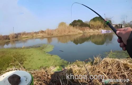 钓鲫鱼的窝子
