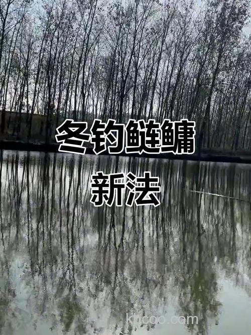 冬季钓鲢鳙用颗粒可以吗？