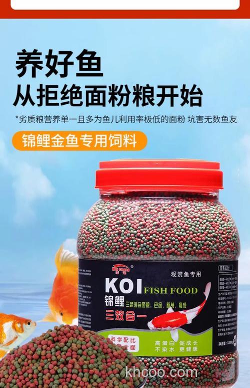 什么鱼颗粒料好？