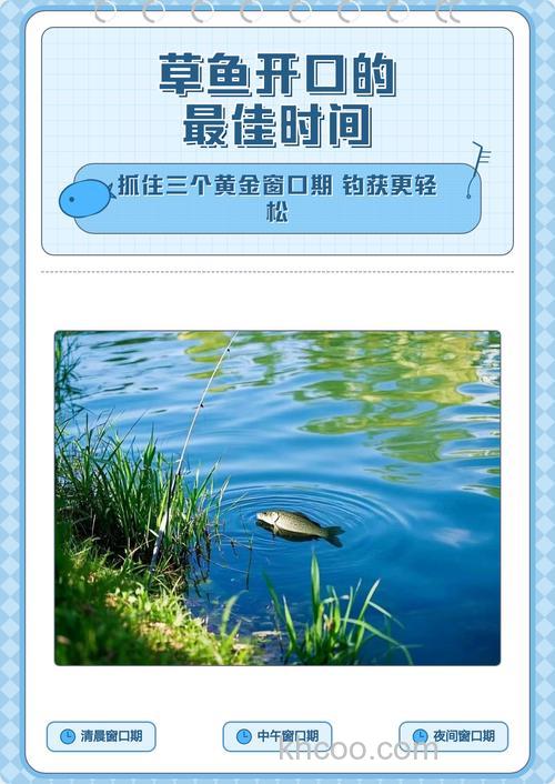 草鱼一天最佳开口时间表