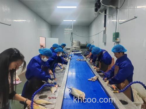 如何加工鱼和鲜肉