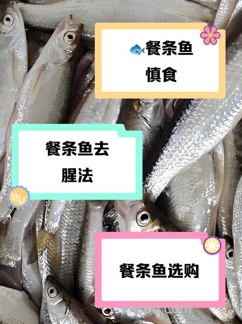 餐条鱼虽常见，为何却要尽量少吃？看完你就懂了！