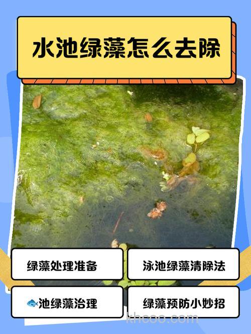 鱼池水浑水绿怎么解决？