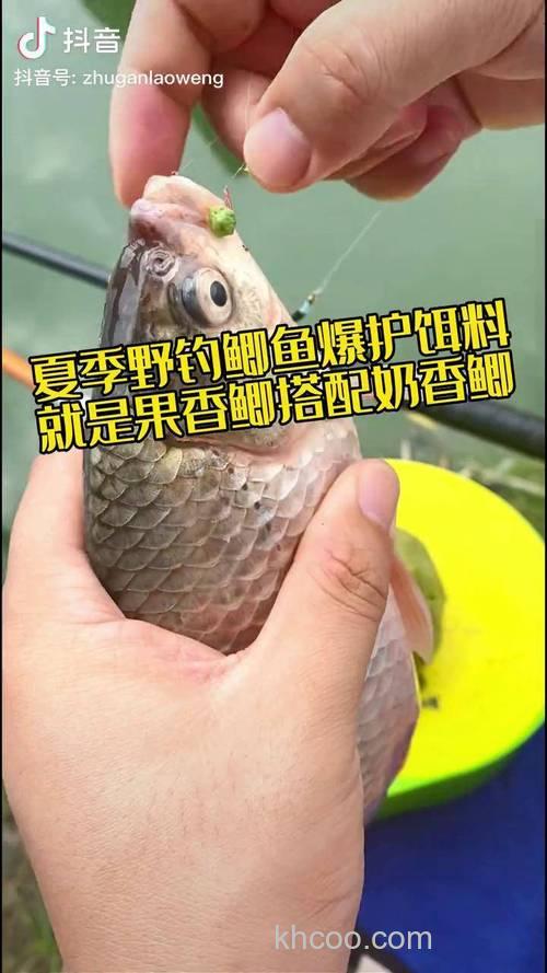 夏天野钓鲫鱼用果香奶香哪个好？