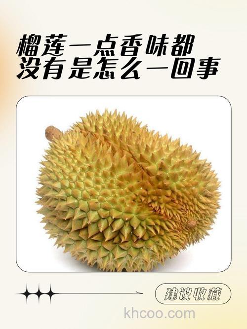 榴莲香吗？？