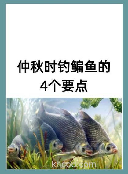 中秋过后鳊鱼怎么钓更好？