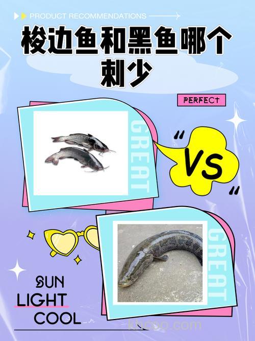 黑鱼刺多还是梭边鱼刺多？黑鱼和梭边鱼哪个更值得吃？