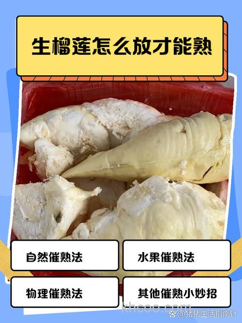 榴莲引小虫用什么办法好