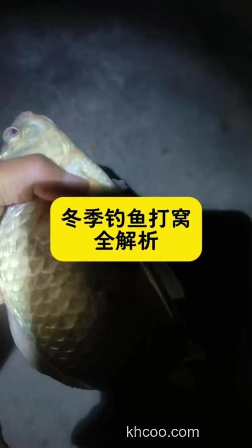 冰钓打窝为什么不上鱼