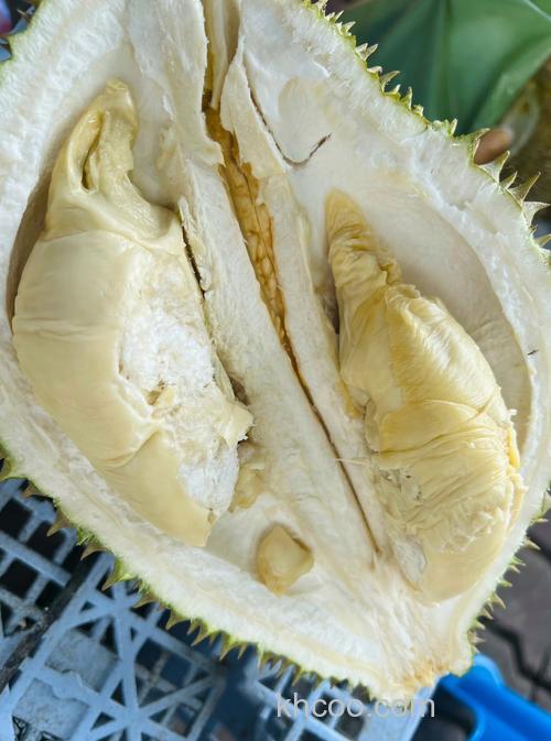 榴莲是种什么样的水果