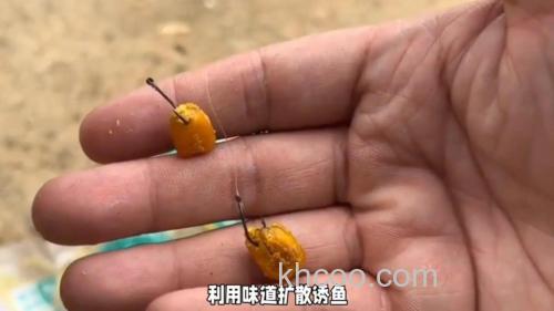 玉米翘嘴绝杀钓法是什么？