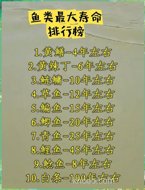 常见淡水鱼种的寿命是多少年？