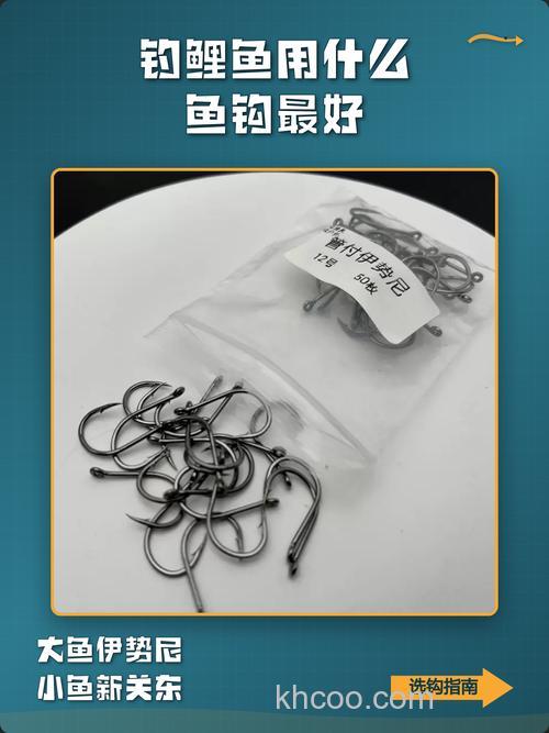 如果钓鲤鱼用什么鱼钩和饵料？