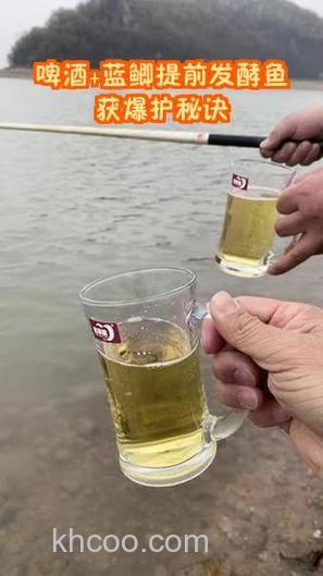 蓝鲫加啤酒能钓鱼吗？