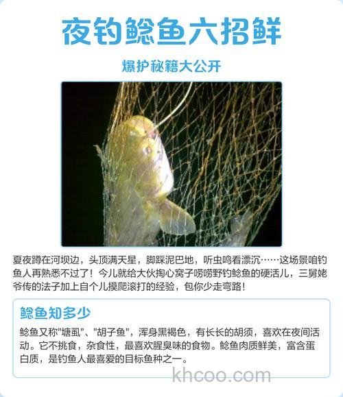 夜钓鲶鱼绝招是什么？