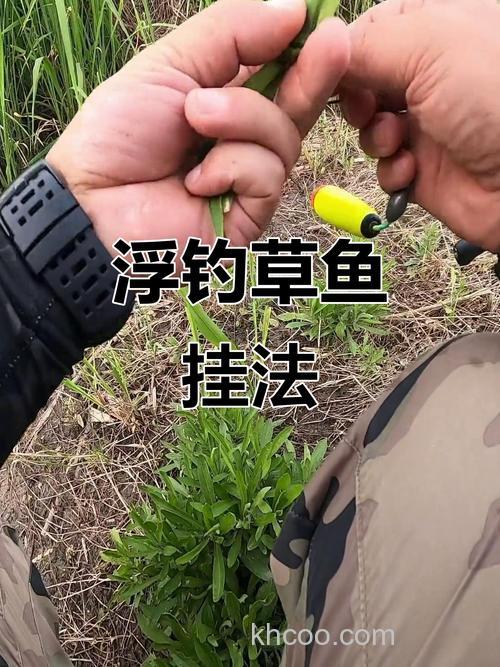 在野河除了用草钓草鱼，还用什么鱼饵可以钓到它？