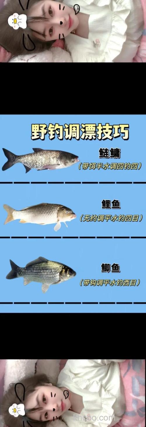 春天对鲫鱼环境的解析