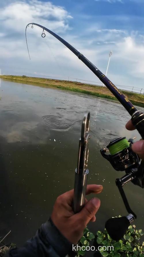 路亚竿浮钓草鱼