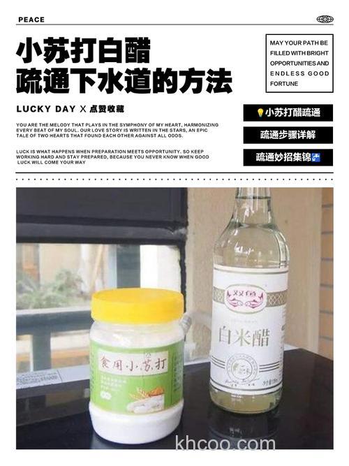 白醋开饵比例是多少？