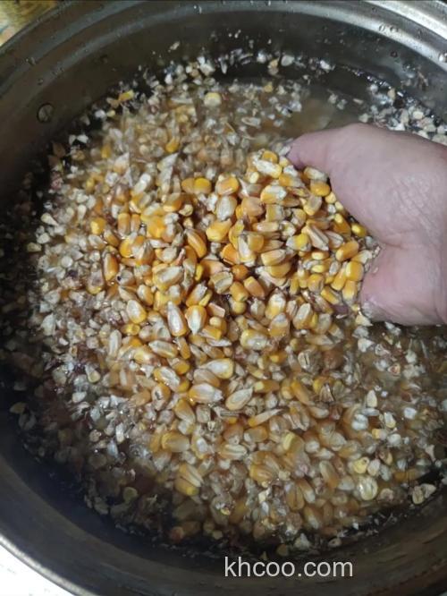 怎么用玉米做鲤鱼窝料