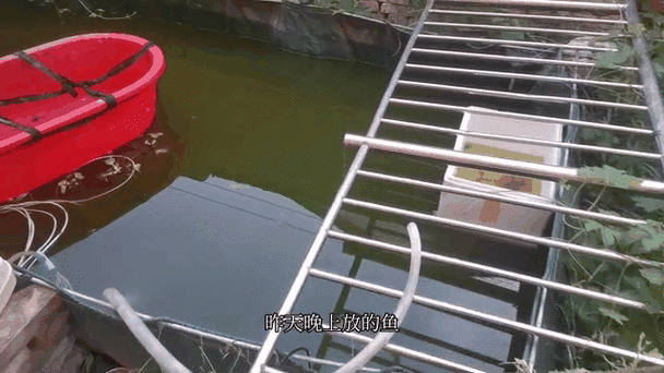 白天鱼浮头晚上好钓吗？